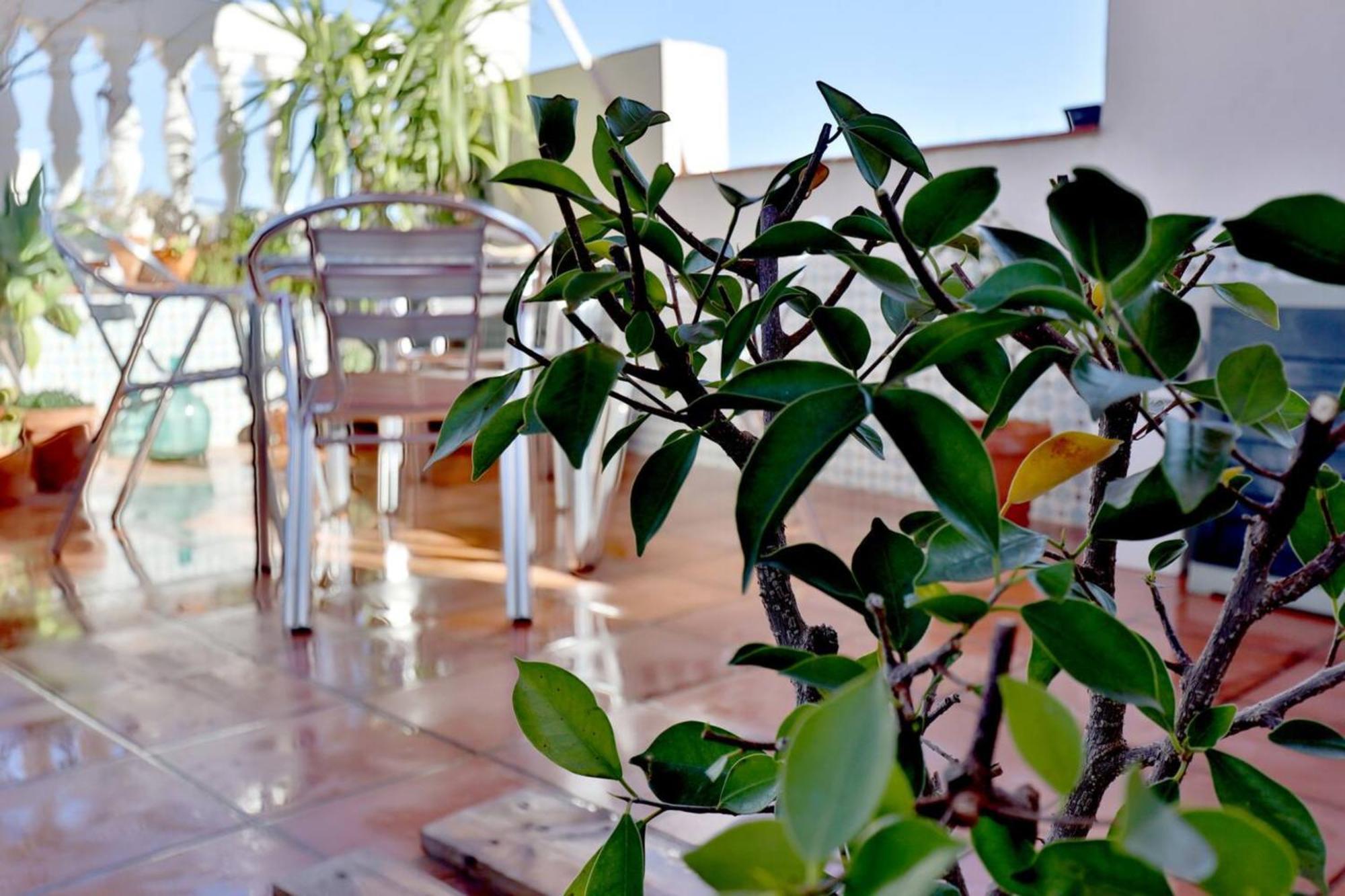 Atico Con Terraza En Pleno Centro Apartment Cordoba Exterior photo